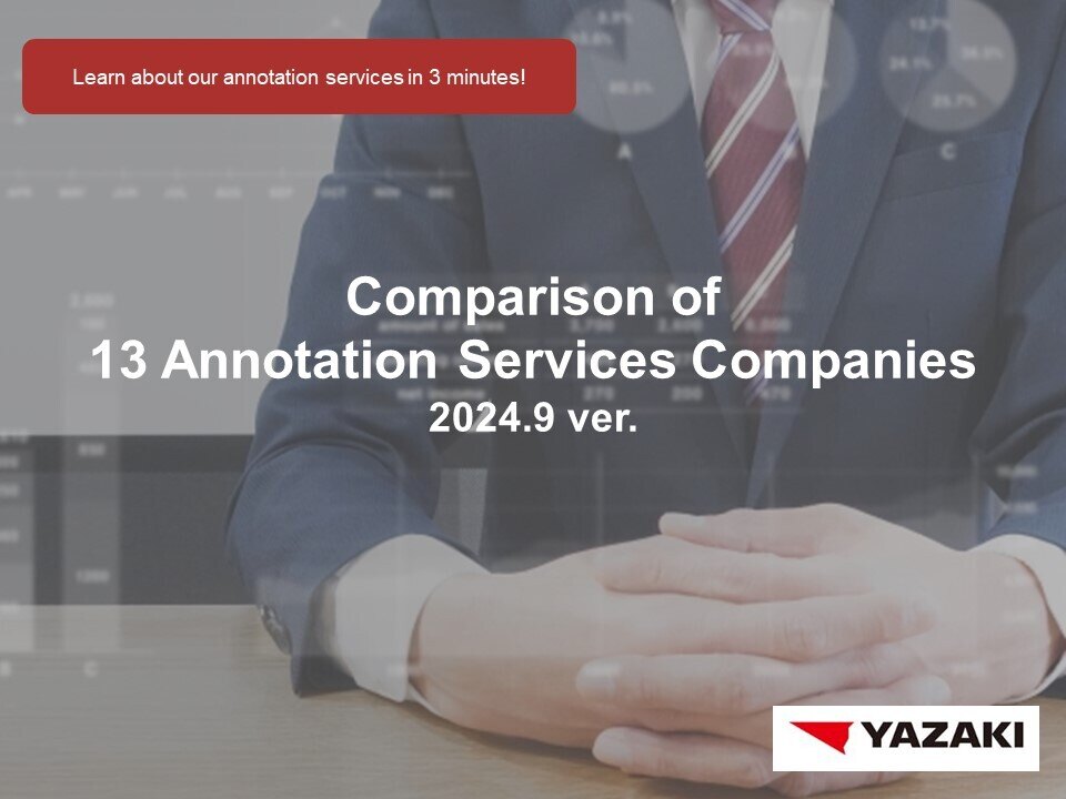 Comparison of 13 Annotation Services Companies_EN