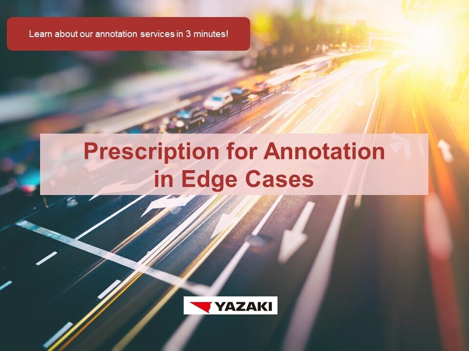 Prescription for Annotation in Edge Cases_EN