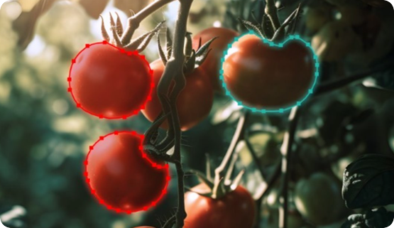 農作物・動物認識向け画像アノテーション事例集