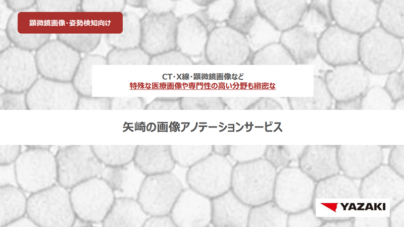 case_topthum07