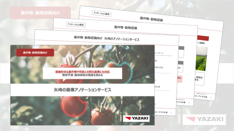 dlpaper_05case_sample