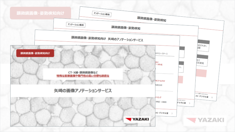 dlpaper_07case_sample